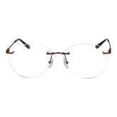 BMW Bronze Titanium Glasses (Frames)
